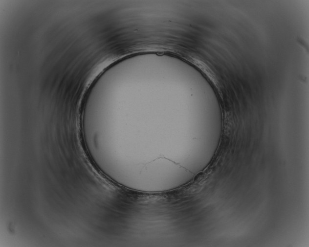 X0000093231187200710171412