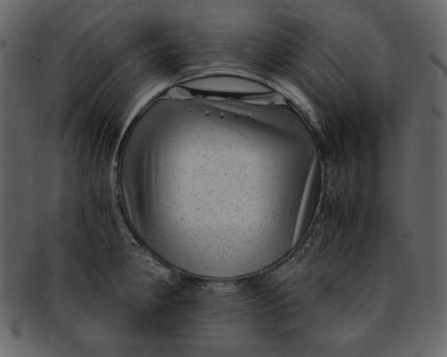 X0000093231190200710171412