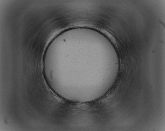 X0000093231191200710171412