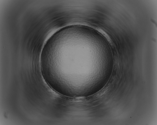 X0000093231199200710171412