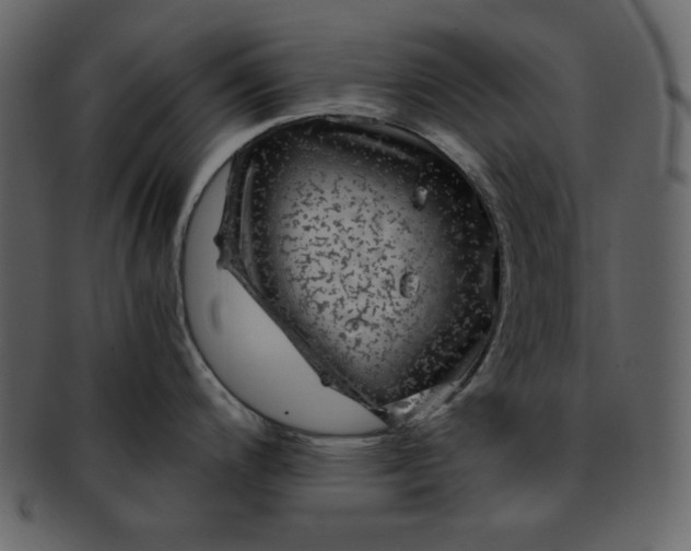 X0000093231200200710171412