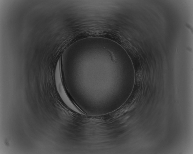 X0000093231202200710171411