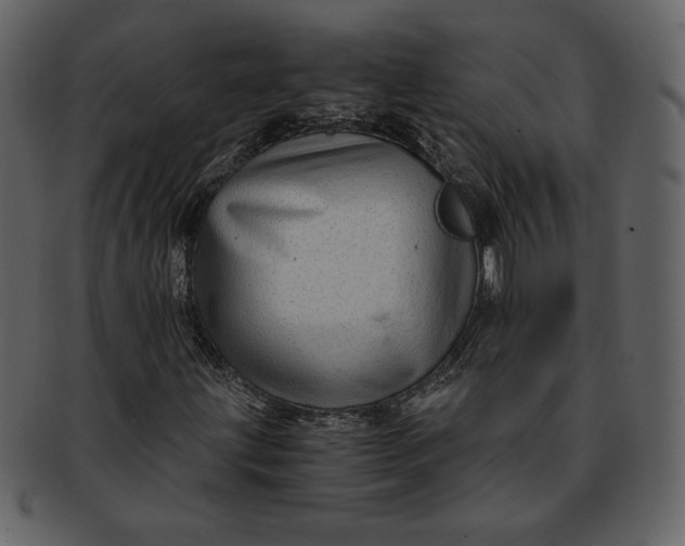 X0000093231203200710171411