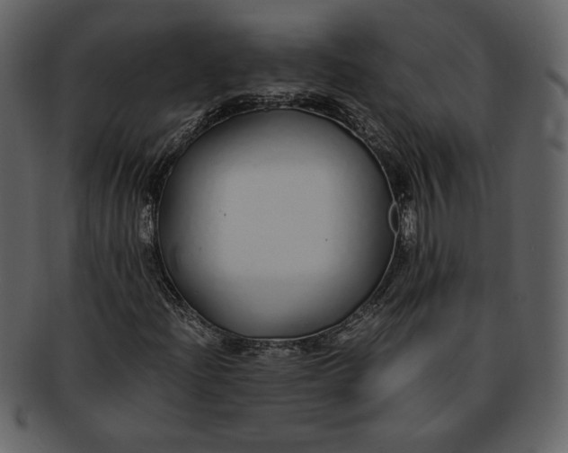 X0000093231204200710171411