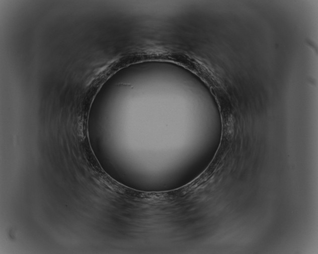 X0000093231205200710171411