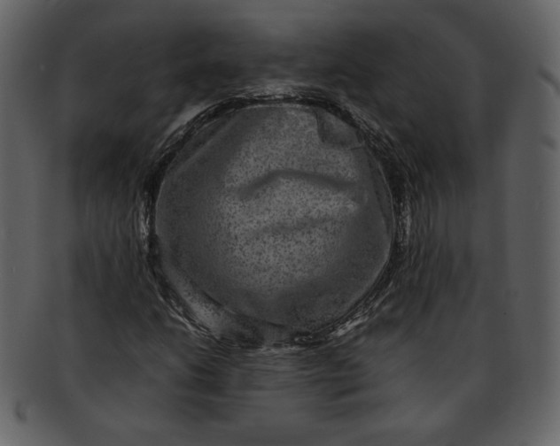 X0000093231206200710171411