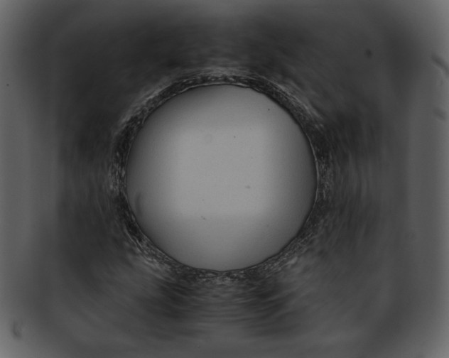 X0000093231207200710171411