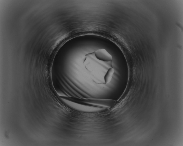 X0000093231210200710171411