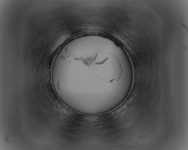 X0000093231211200710171411