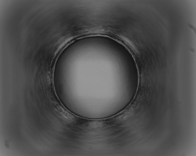 X0000093231212200710171411