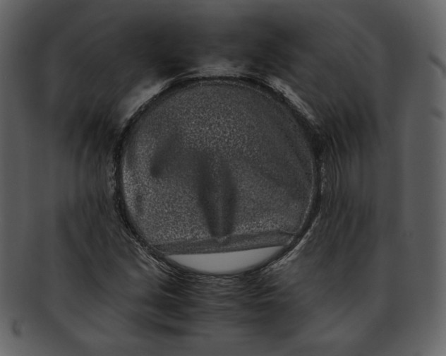 X0000093231213200710171411