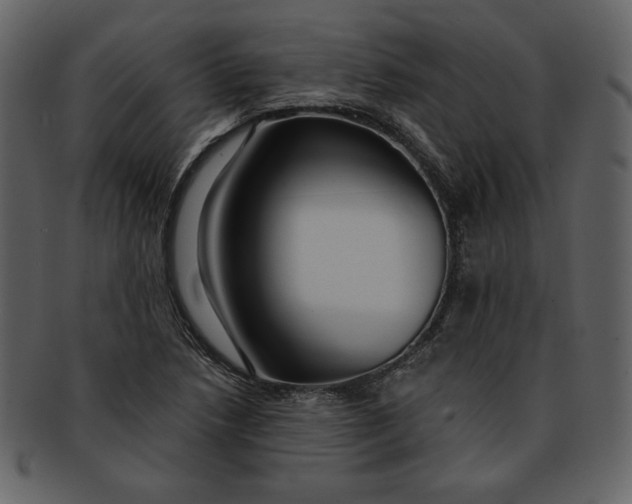 X0000093231218200710171411