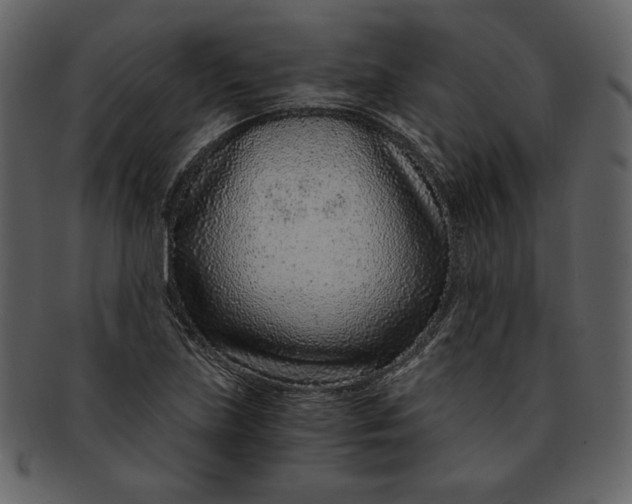 X0000093231219200710171411