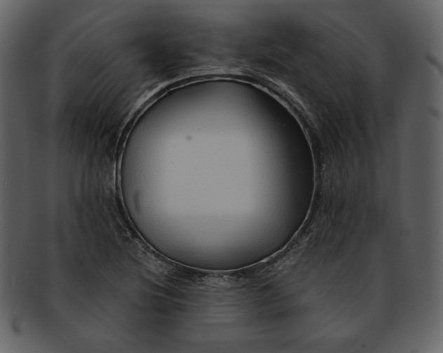 X0000093231220200710171411