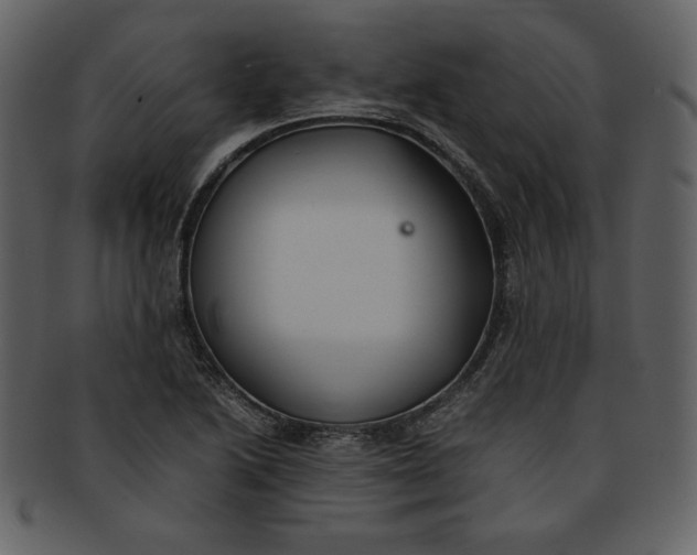 X0000093231222200710171411