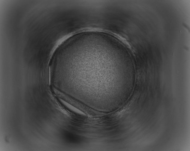 X0000093231223200710171411