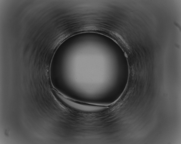 X0000093231225200710171411