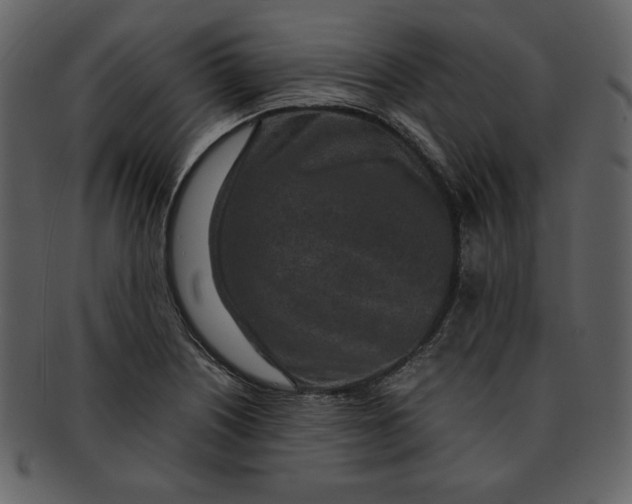 X0000093231226200710171411