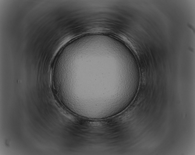 X0000093231227200710171411