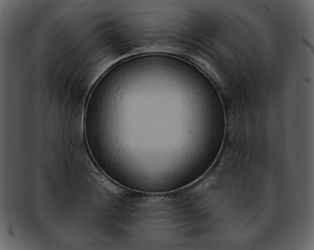 X0000093231228200710171411