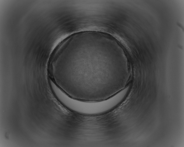 X0000093231230200710171411