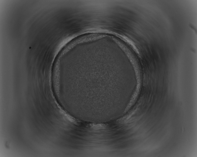 X0000093231231200710171411