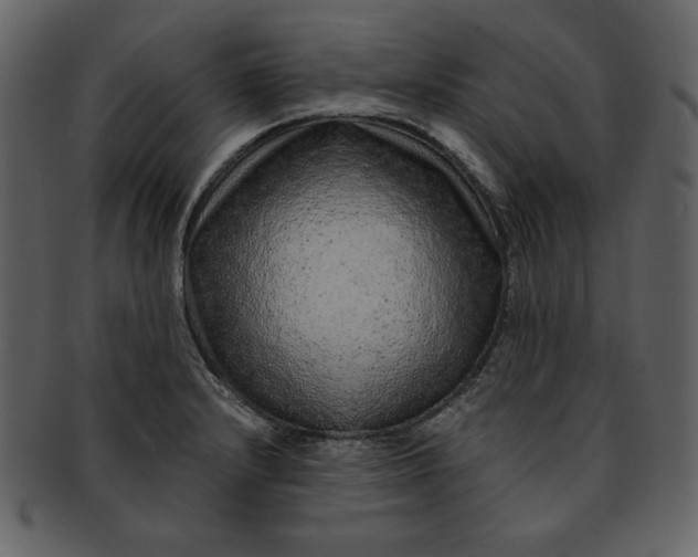 X0000093231232200710171411