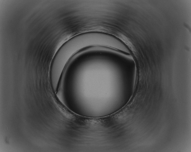 X0000093231234200710171411