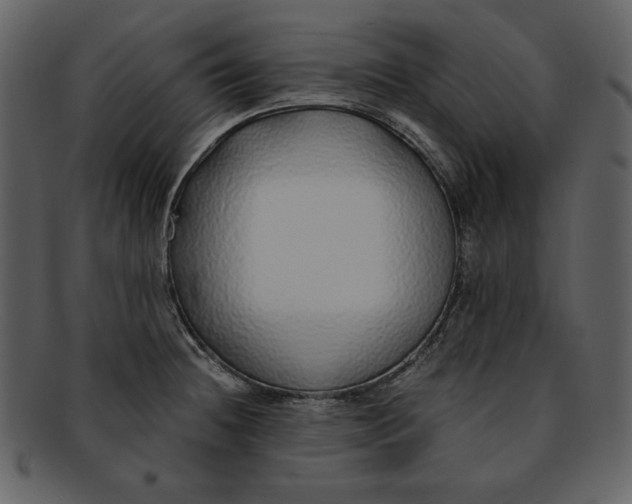 X0000093231236200710171411