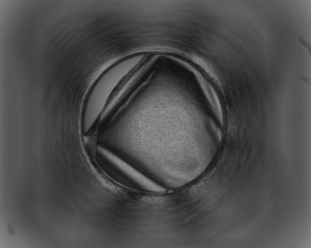 X0000093231237200710171411