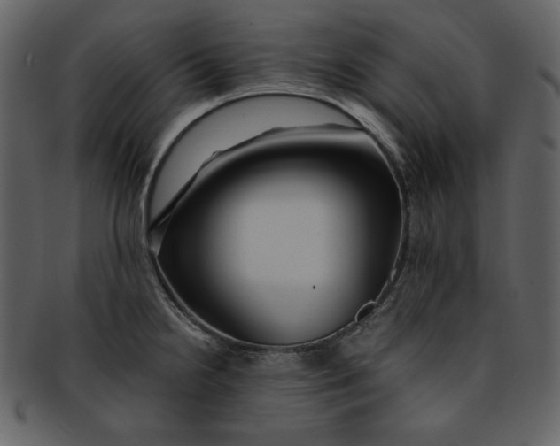 X0000093231238200710171411