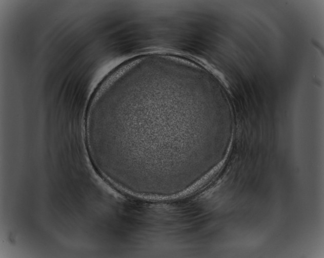 X0000093231239200710171412