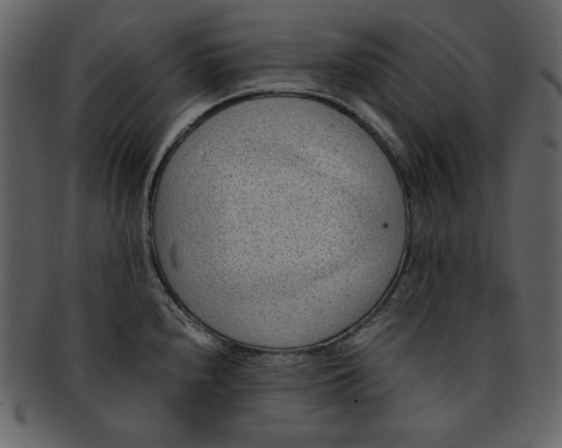 X0000093231240200710171412