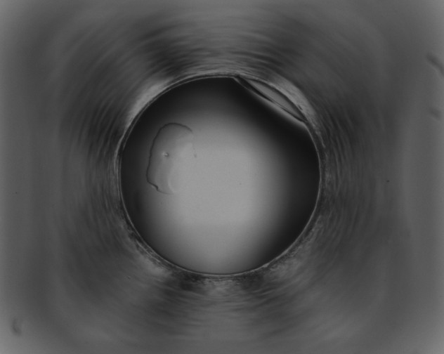 X0000093231242200710171412