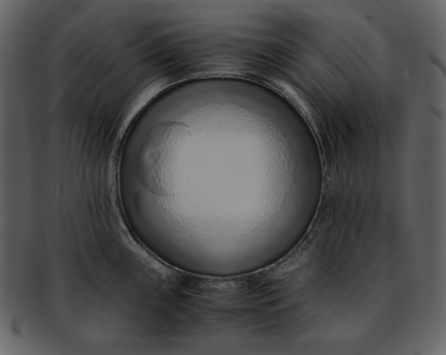 X0000093231243200710171412