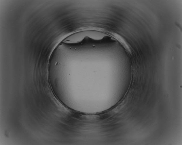 X0000093231244200710171412