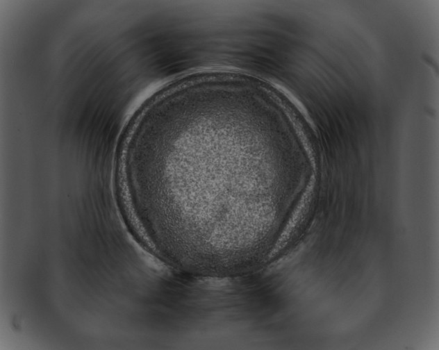 X0000093231245200710171412