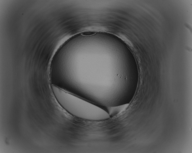 X0000093231248200710171412