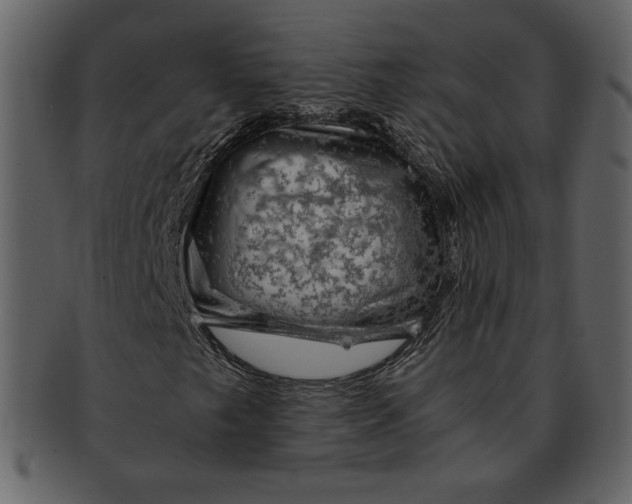 X0000093231249200710171411