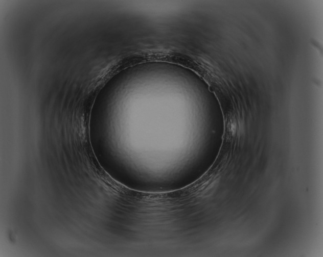 X0000093231252200710171411