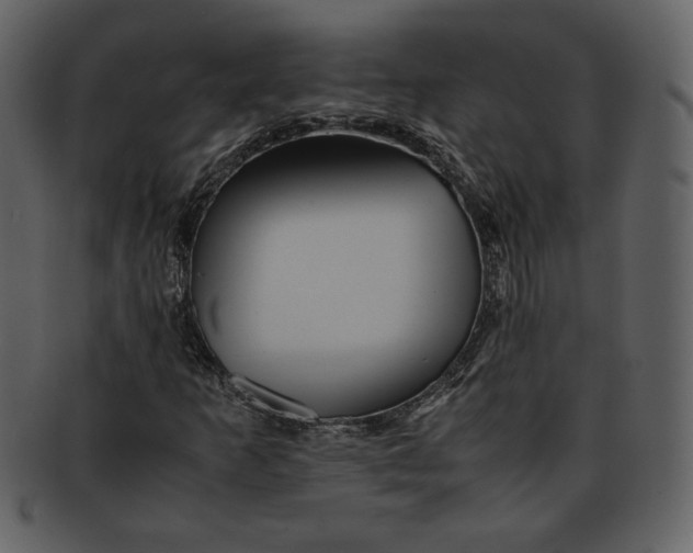 X0000093231253200710171411