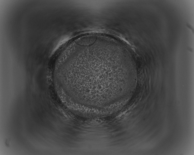 X0000093231255200710171411