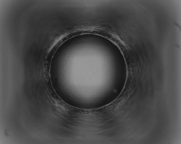 X0000093231256200710171411