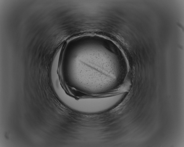 X0000093231257200710171411