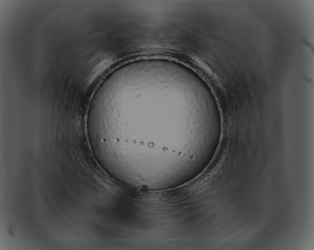 X0000093231259200710171411