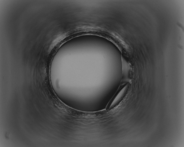 X0000093231261200710171411