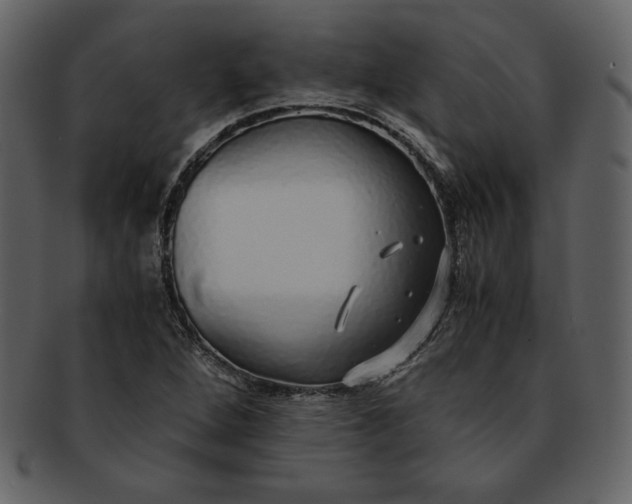 X0000093231264200710171411