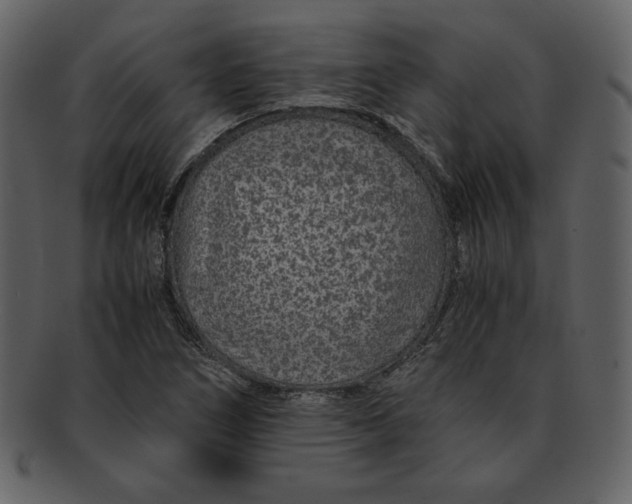 X0000093231266200710171411