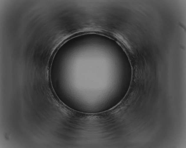 X0000093231268200710171411