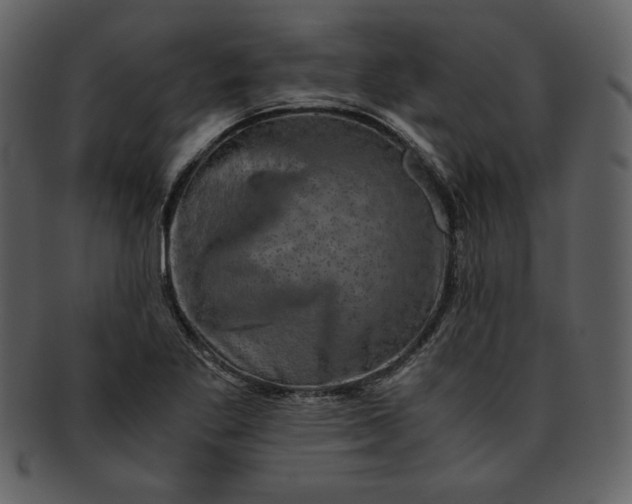 X0000093231269200710171411